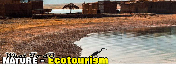 essay about ecotourism in egypt